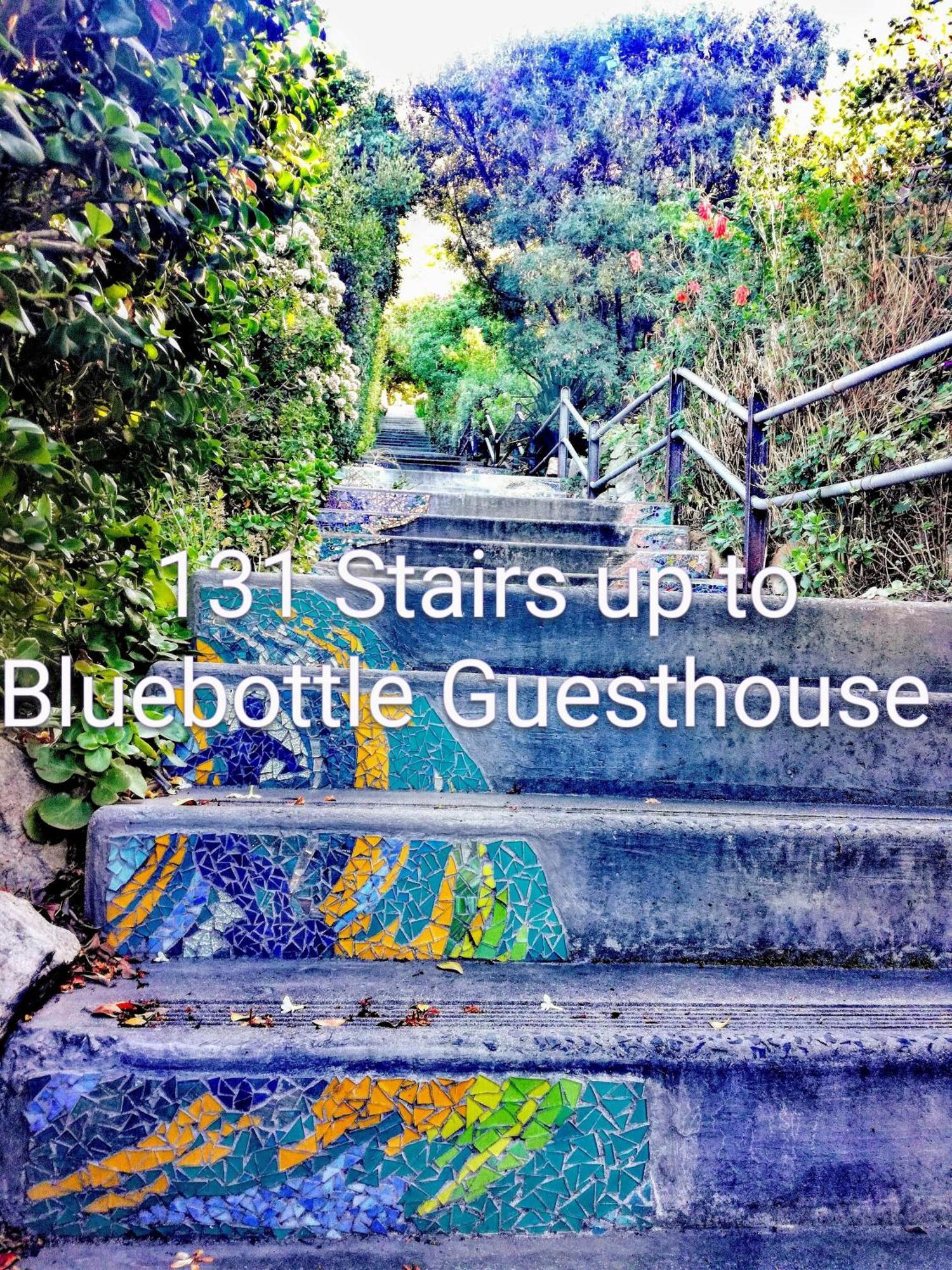Bluebottle Guesthouse Muizenberg Extérieur photo